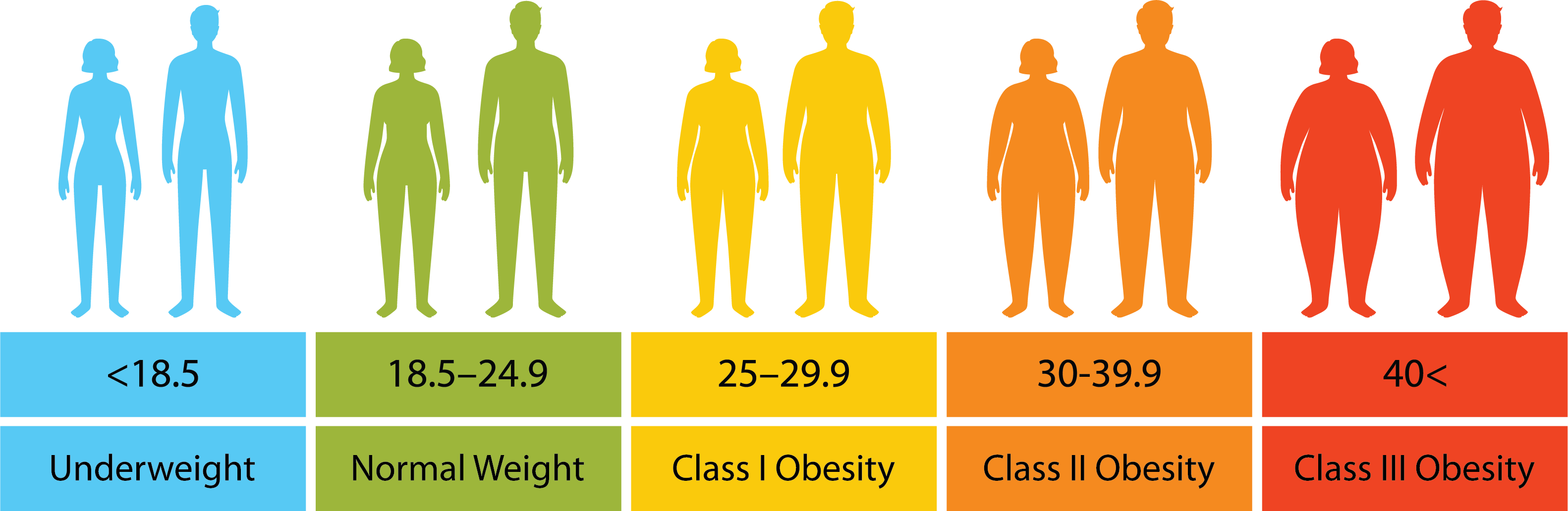 BMI Chart Revised